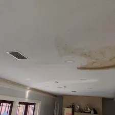 Ceiling Repair Clearwater 1