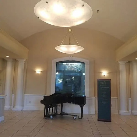 How often should you repaint interior walls in tampa homes